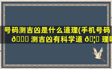 号码测吉凶是什么道理(手机号码 🐝 测吉凶有科学道 🦄 理吗)